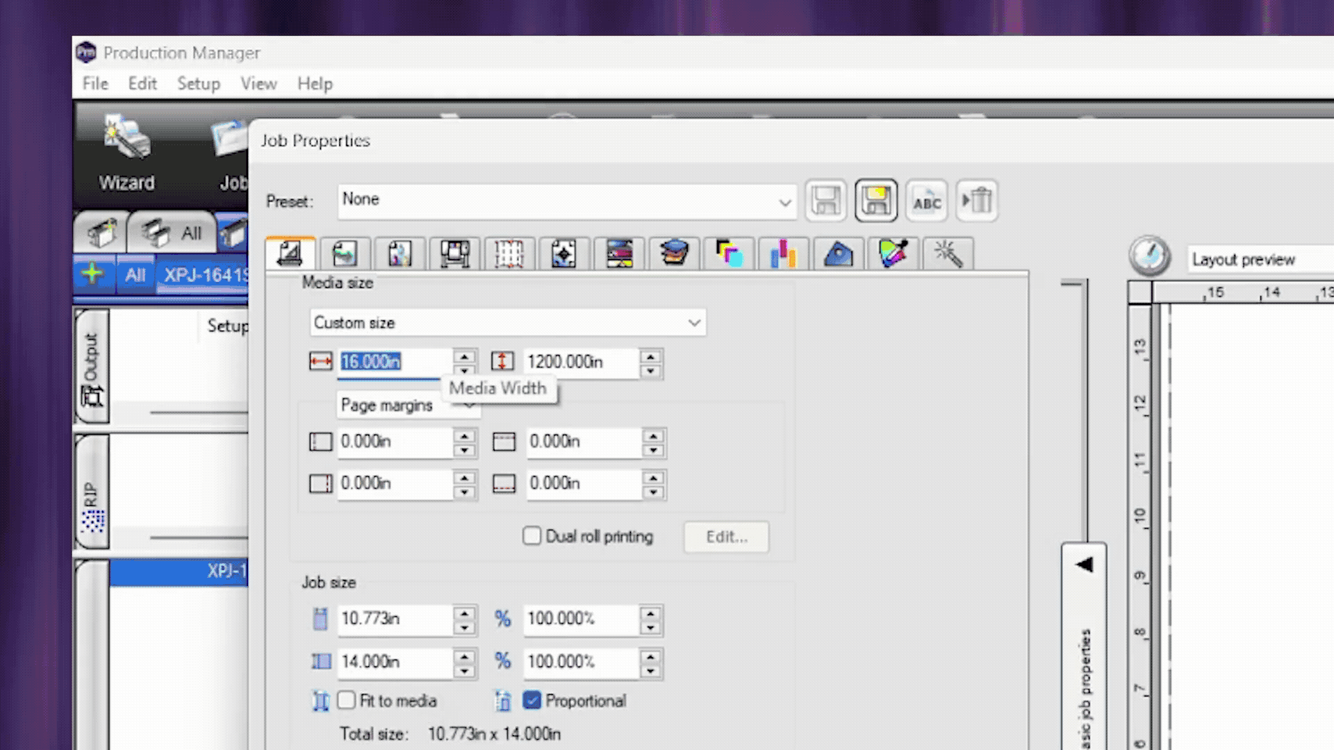 Flexi wide-format RIP software features for advanced print preparation.